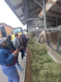 Ich bin ein Alternativtext