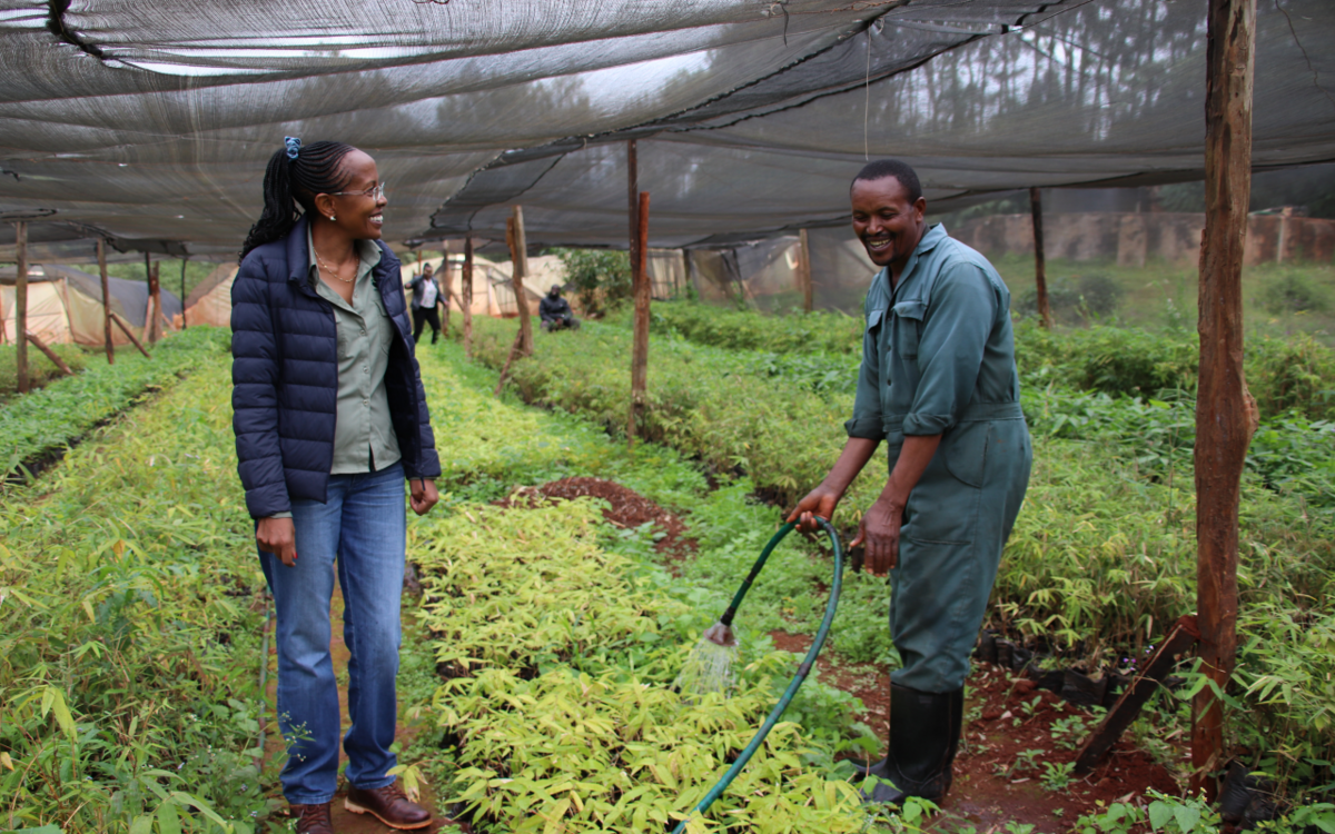 Support for sustainable start-ups