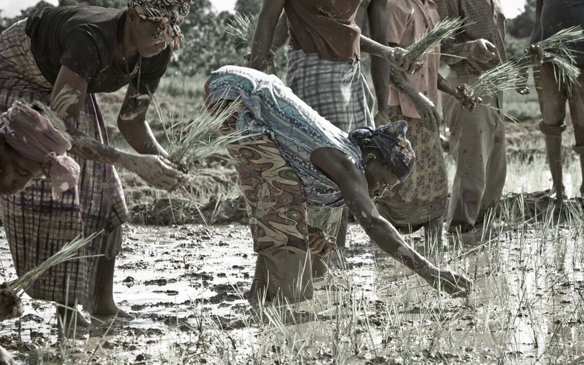 New Jobs for the poorest