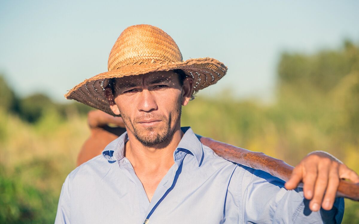 Paraguay: Ein Land taumelt in den Sojarausch
