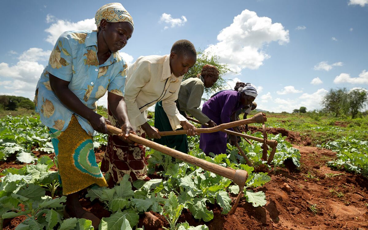 "Agriculture can become a job engine"