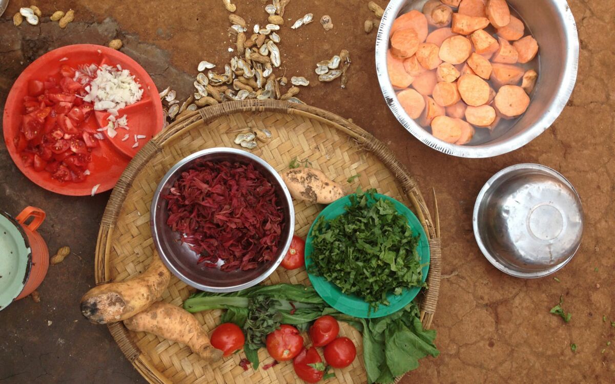 SECURING THE FOOD SUPPLY IN MALAWI