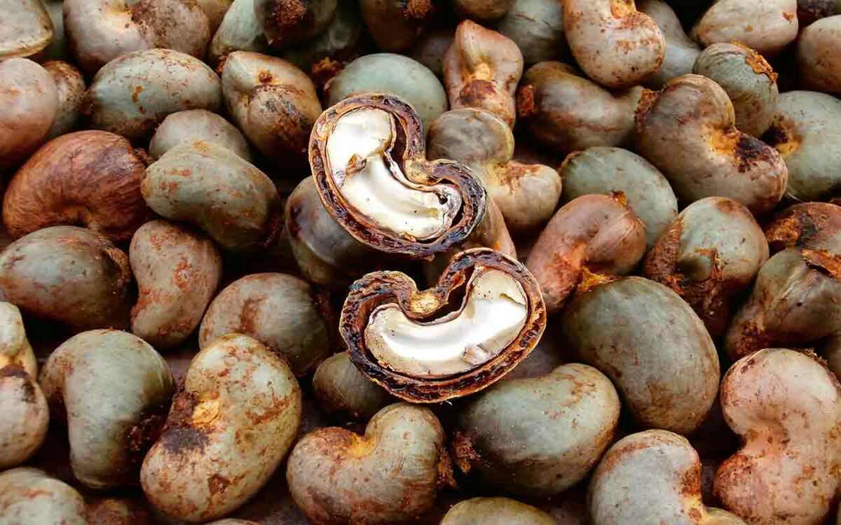 The 'Grey Gold'