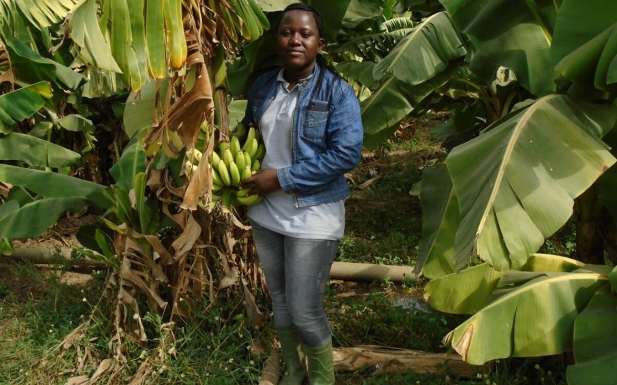 Youth Employment in Rural Areas