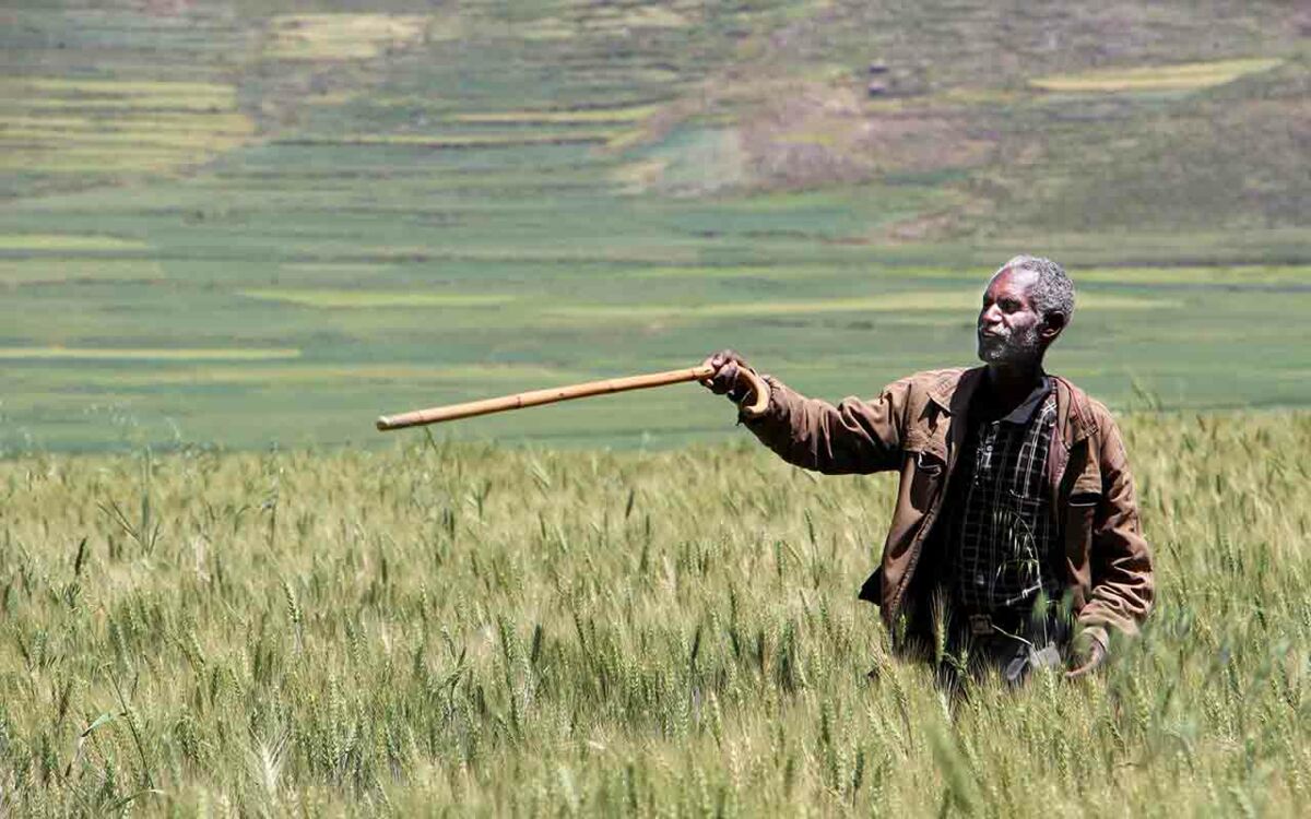 FERTILE SOIL THROUGH THE RIGHT COMBINATION OF METHODS