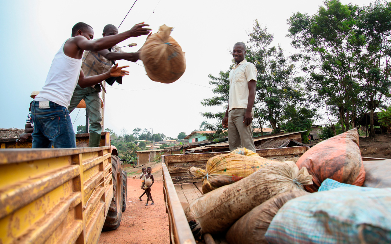 The harvest is passed on. The path of the supply chain begins ©GaÎl GellÈ