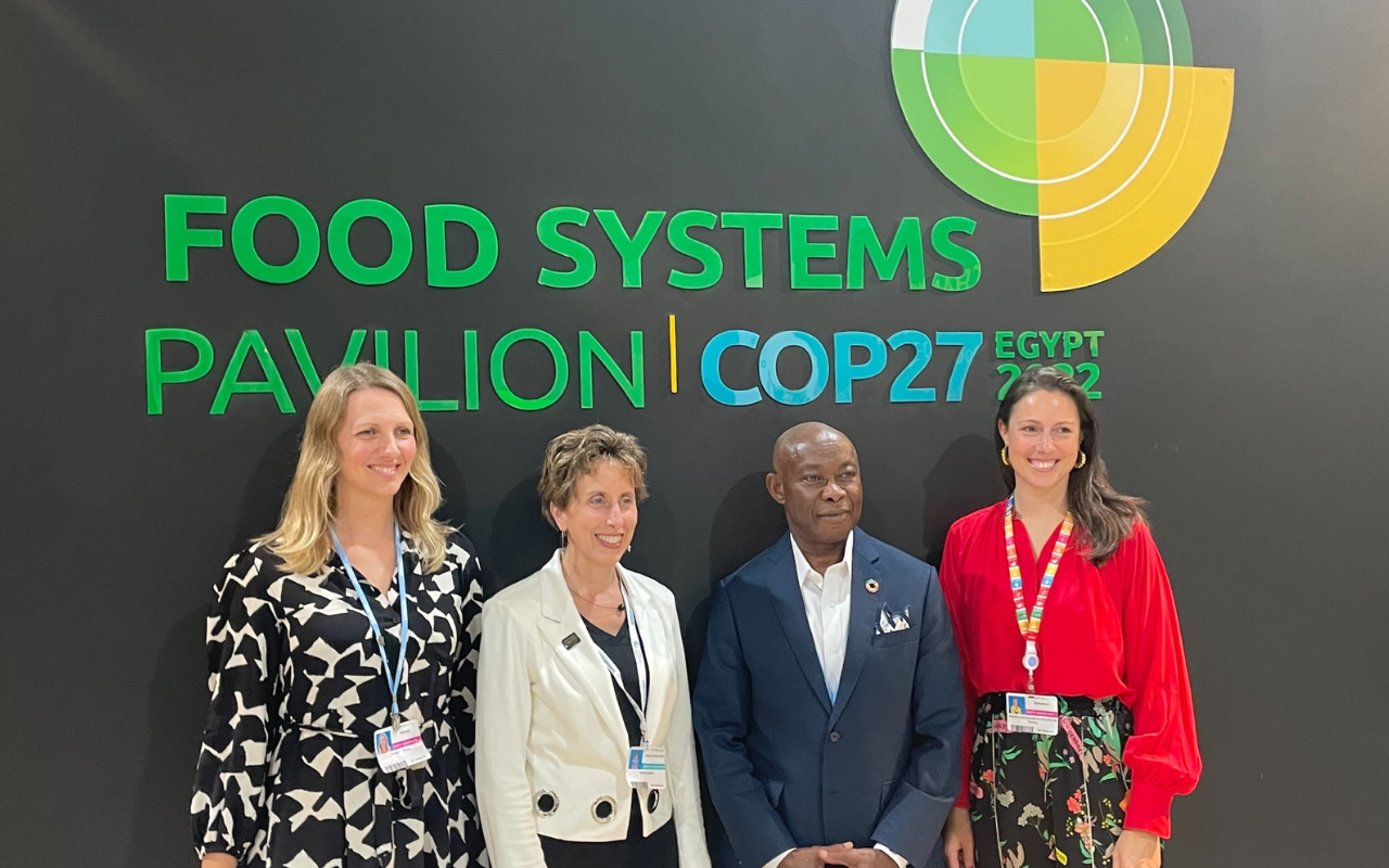 From left to right: Felicitas Rörig (BMZ), Diane Holdorf (Moderation & WBCSD), Michael O. Okoroafor (Mc. Cormick & Co.), Viktoria de Bourbon de Parme (WBA) at the G7 SSCI Side Event of the COP27. © GIZ, 2022